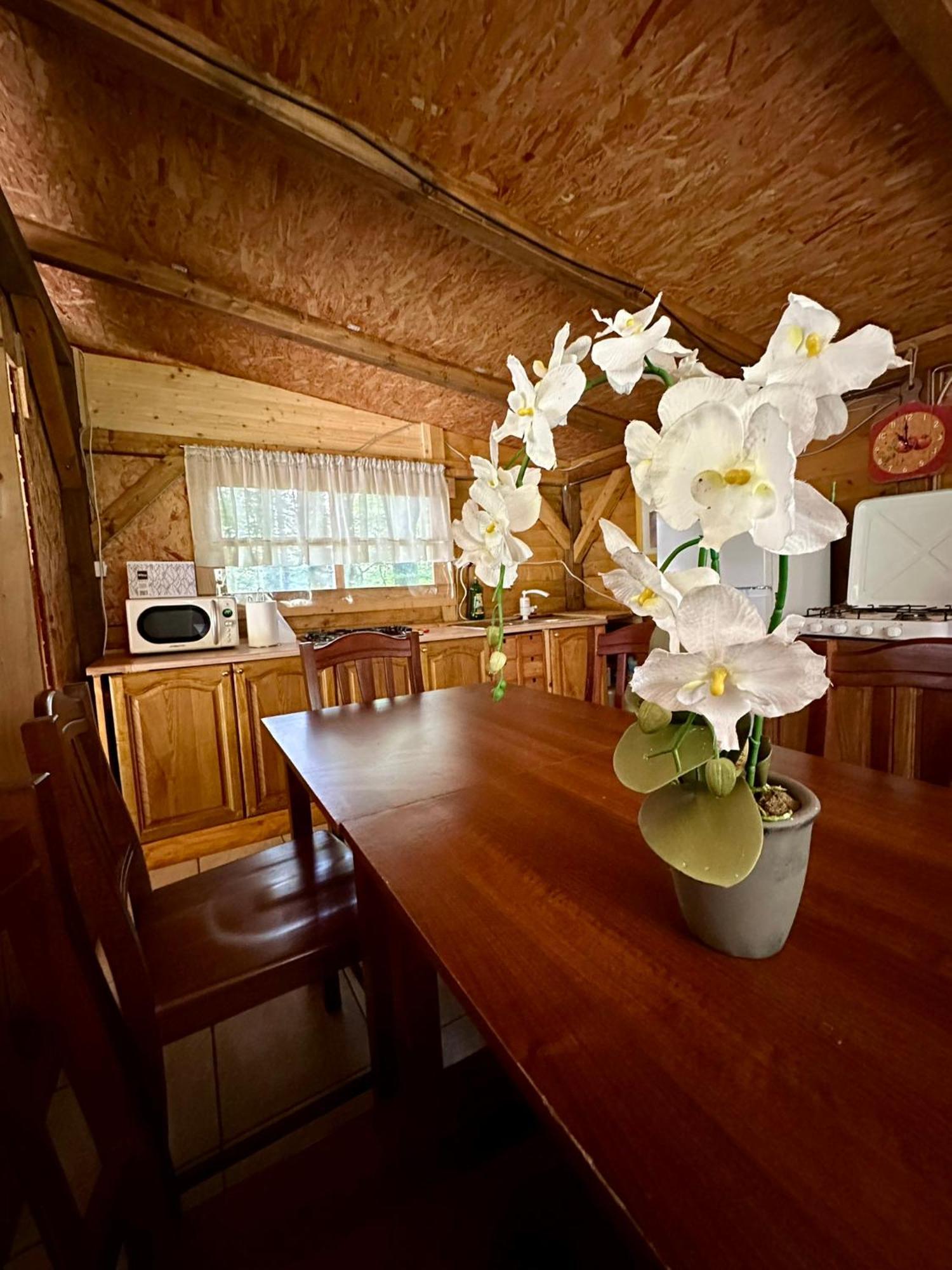 فندق Glamping Krn كوباريد المظهر الخارجي الصورة